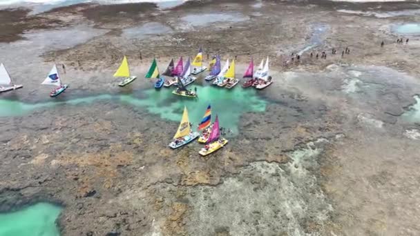 Rafts Port Chickens Pernambuco Brasil Água Baía Exótica Paisagem Natureza — Vídeo de Stock