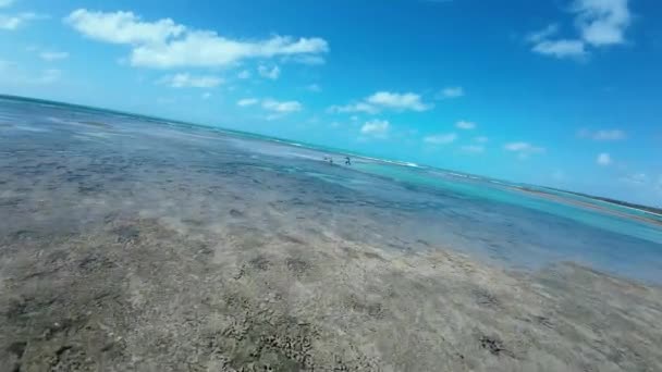 Paisagem Praia São Miguel Dos Milagres Alagoas Brasil Coral Reef — Vídeo de Stock