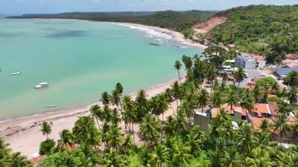 Cena Praia Japaratinga Alagoas Brasil Paisagem Turística Fundo Das Caraíbas — Vídeo de Stock