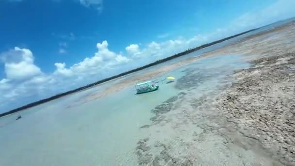 Patacho Doğal Havuzları Sao Miguel Dos Milagres Alagoas Brezilya Mercan — Stok video