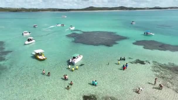 Alagoas Brezilya Daki Japonya Doğa Havuzu Mercan Kayalıkları Körfezi Suyu — Stok video
