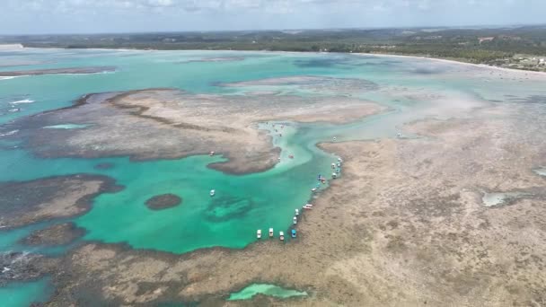 Patacho Piscine Naturelle Sao Miguel Dos Milagres Alagoas Brésil Coral — Video
