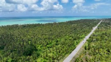 Alagoas Brezilya 'daki Maragogi Plaj Sahnesi. Turizm arazisi. Karayip arka planı. Seyahat Manzarası. Tatil Varış Yeri. Deniz Burnu Sahnesi. Alagoas Brezilya 'daki Maragogi Plaj Sahnesi.