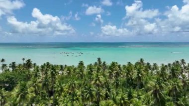 Alagoas Brezilya 'daki Japaratinga Tropik Plajı. Turizm arazisi. Karayip arka planı. Seyahat Manzarası. Tatil Varış Yeri. Göz kamaştırıcı sahne. Alagoas Brezilya 'daki Japaratinga Tropik Plajı.