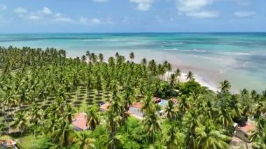 Alagoas Brezilya 'daki Japaratinga Tropik Plajı. Turizm arazisi. Karayip arka planı. Seyahat Manzarası. Tatil Varış Yeri. Göz kamaştırıcı sahne. Alagoas Brezilya 'daki Japaratinga Tropik Plajı.