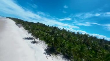 Bahia Brezilya, Itacare 'deki Itacarezinho Plajı. Turizm arazisi. Doğa Arkaplanı. Seyahat Manzarası. Tatil Tatilleri. Deniz kenarı sahnesi. Bahia Brezilya 'daki Itacare' de Itacarezinho Plajı.