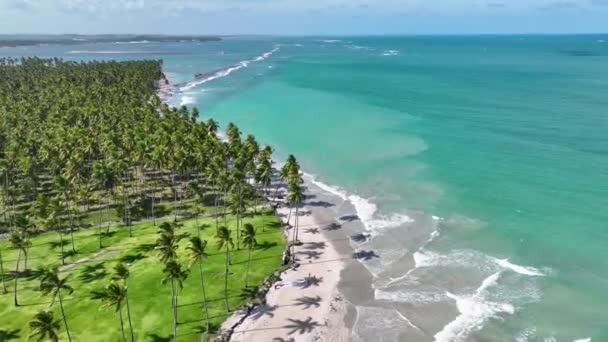 Carneiros Beach Tamandare Pernambuco Brazil Exotic Bay Water Nature Landscape — Stock Video
