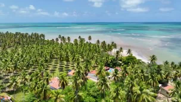 Alagoas Brezilya Daki Japaratinga Tropik Plajı Turizm Arazisi Karayip Arka — Stok video