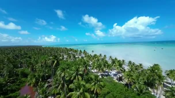 Scena Spiaggia Maragogi Alagoas Brasile Turismo Paesaggio Fondo Caraibico Paesaggio — Video Stock
