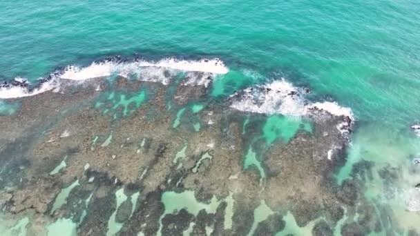 Spiaggia Cupe Porto Polli Pernambuco Brasile Acqua Coral Reef Bay — Video Stock