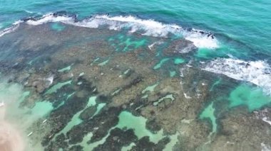 Pernambuco Brezilya 'daki Tavukların Limanı' nda Cupe Plajı. Mercan Kayalıkları Körfezi Suyu. Doğa manzarası. Cennet Manzarası. Seyahat belgesi. Pernambuco Brezilya 'daki Tavukların Limanı' nda Cupe Plajı.