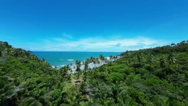 Praia Havaizinho Itacare Bahia Brasil Paisagem Turística Fundo Natureza Paisagem — Vídeo de Stock