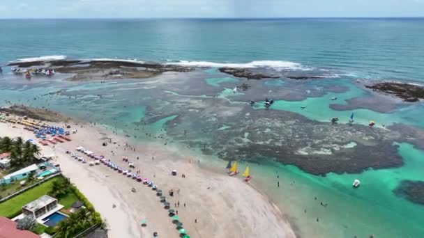 Basen Przyrody Port Chickens Beach Pernambuco Brazylia Wodę Egzotyczną Krajobraz — Wideo stockowe