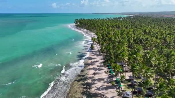 Plaja Oilor Tamandare Pernambuco Brazilia Exotic Bay Water Peisaj Natural — Videoclip de stoc
