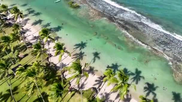Praia Dos Carneiros Tamandare Pernambuco Brasil Água Baía Exótica Paisagem — Vídeo de Stock