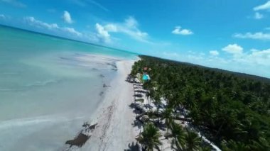 Alagoas Brezilya 'daki Maragogi Tropik Plajı. Turizm arazisi. Karayip arka planı. Seyahat Manzarası. Tatil Varış Yeri. Deniz Burnu Sahnesi. Alagoas Brezilya 'daki Maragogi Tropik Plajı.