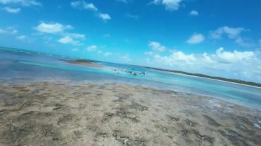 Alagoas Brezilya 'daki Sao Miguel Dos Milagres' te Toque Doğal Havuzları. Mercan Resifi Körfezi Suyu. Doğa manzarası. Paradisiac Manzarası. Seyahat güzergahı. Sao Miguel Dos Milagres Alagoas.