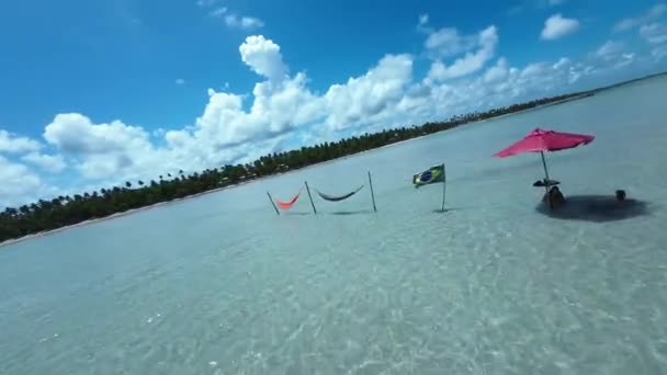 Alagoas Brezilya Daki Maragogi Plaj Sahnesi Turizm Arazisi Karayip Arka — Stok video