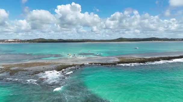 Alagoas Brezilya Daki Japonya Doğa Havuzu Mercan Kayalıkları Körfezi Suyu — Stok video