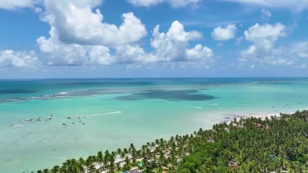 Plage Tropicale Maragogi Dans Alagoas Brésil Paysage Touristique Antilles Paysages — Video