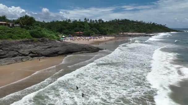 Tiririca Beach Itacare Bahia Brazil Tourism Landscape Nature Background Travel — Stock Video