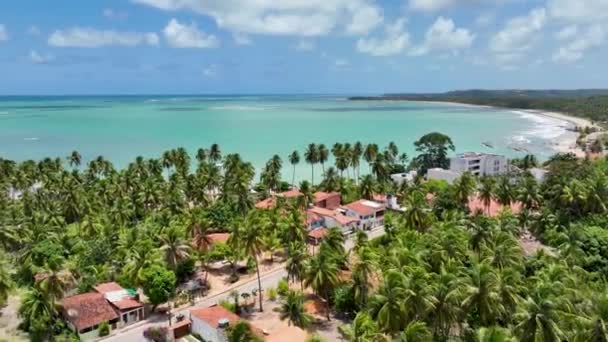 2011 Beach Scene Japaratinga Alagoas Brazil 카리브해의 시나리오 목적지로 바다쪽 — 비디오