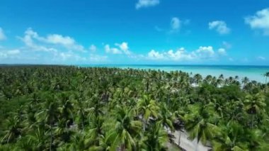 Alagoas Brezilya 'daki Maragogi' de Antunes Plajı. Turizm arazisi. Karayip arka planı. Seyahat Manzarası. Tatil Tatilleri. Deniz kenarı sahnesi. Alagoas Brezilya 'daki Maragogi' de Antunes Plajı.