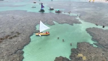 Pernambuco Brezilya 'daki Tavuk Sahili Limanı' nda tekneler. Egzotik Körfez Suyu. Doğa manzarası. Paradisiac Manzarası. Seyahat güzergahı. Pernambuco Brezilya 'daki Tavukların Sahilindeki Tekneler.