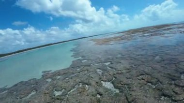 Ocean View At Sao Miguel Dos Milagres In Alagoas Brazil. Mercan Resifi Körfezi Suyu. Doğa manzarası. Paradisiac Manzarası. Seyahat güzergahı. Sao Miguel Dos Milagres Alagoas.