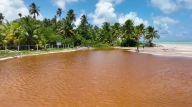 Alagoas Brezilya 'daki Maragogi' de Antunes Plajı. Turizm arazisi. Karayip arka planı. Seyahat Manzarası. Tatil Tatilleri. Deniz kenarı sahnesi. Alagoas Brezilya 'daki Maragogi' de Antunes Plajı.