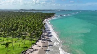 Carneiros Sahili, Tamandare, Pernambuco Brezilya. Egzotik Körfez Suyu. Doğa manzarası. Paradisiac Manzarası. Seyahat güzergahı. Carneiros Plajı Tamandare, Pernambuco Brezilya.