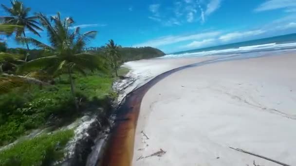 Plaża Itacarezinho Itacare Bahia Brazylia Krajobraz Turystyczny Kontekst Natury Krajobraz — Wideo stockowe