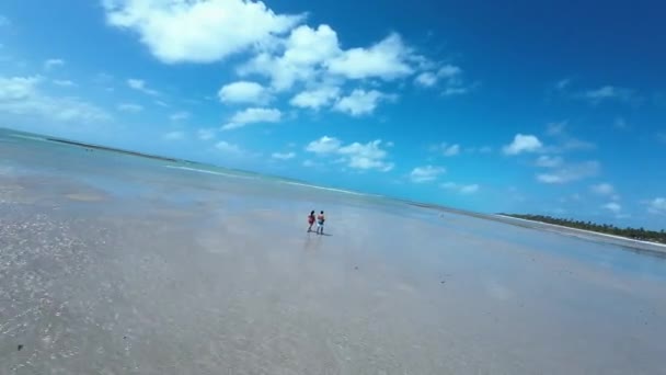 Piscină Naturală Sao Miguel Dos Milagres Alagoas Brazilia Coral Reefs — Videoclip de stoc