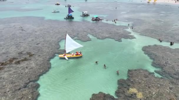 Barche Porto Polli Spiaggia Pernambuco Brasile Acqua Esotica Della Baia — Video Stock