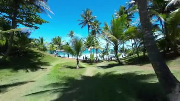 Bahia Brezilya Daki Itacare Havizinho Plajı Turizm Arazisi Doğa Arkaplanı — Stok video