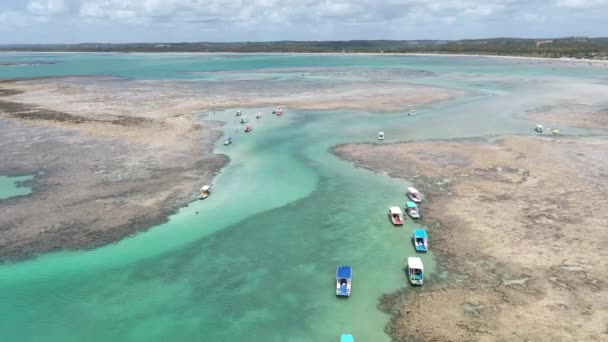 Basen Przyrody Sao Miguel Dos Milagres Alagoas Brazylia Rafy Koralowe — Wideo stockowe