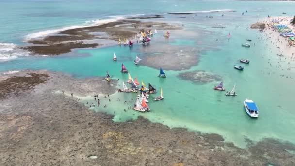 Barcos Puerto Pollos Playa Pernambuco Brasil Coral Reef Bay Water — Vídeos de Stock