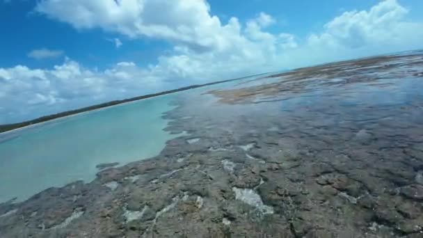 Vista Oceano São Miguel Dos Milagres Alagoas Brasil Coral Reef — Vídeo de Stock