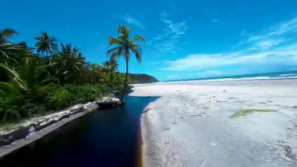 Praia Tropical Itacare Bahia Brasil Paisagem Turística Fundo Natureza Paisagem — Vídeo de Stock