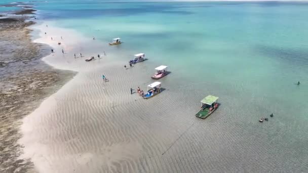 Naturalne Baseny Japaratinga Alagoas Brazylia Rafy Koralowe Bay Water Krajobraz — Wideo stockowe