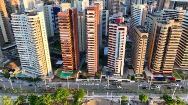 Bahia Brezilya 'daki Itacare' de palmiye ağaçları. Turizm arazisi. Doğa Arkaplanı. Seyahat Manzarası. Tatil Varış Yeri. Deniz Burnu Sahnesi. Bahia Brezilya 'da Itacare' de Palmiye Ağaçları.