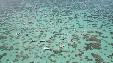 Rio Grande do Norte Brazil Natal Doğal Havuzları. Deniz Burnu Manzarası. Sahil Mercan Kayalıkları. Doğa Teknesi. Rio Grande 'deki Natal Doğal Havuzları Norte Brezilya.