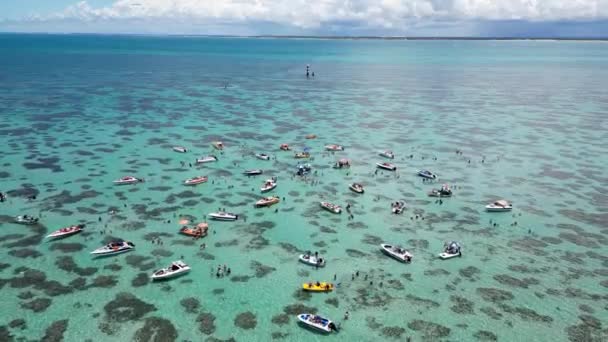フォゴの天然プールリオグランデ ノルテ ブラジルで 海辺の風景 海岸サンゴ礁 自然ボート フォゴの自然プール リオグランデ ノルテ ブラジル — ストック動画