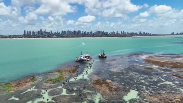 Natürliche Pools Bei Joao Pessoa Paraiba Brasilien Seelandschaft Coast Coral — Stockvideo