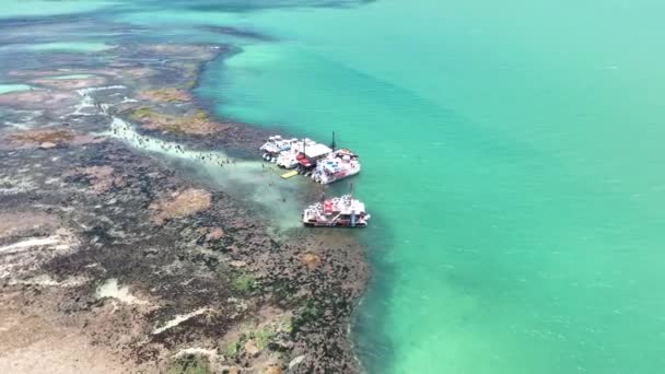 Natürliche Pools Bei Joao Pessoa Paraiba Brasilien Seelandschaft Coast Coral — Stockvideo