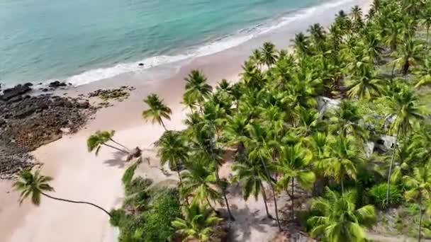 Coqueirinho Spiaggia Conde Paraiba Brasile Paesaggio Della Spiaggia Destinazione Viaggio — Video Stock