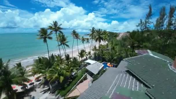 Tabatinga Beach Conde Paraiba Brazil Beach Landscape Travel Destination Nature — Stock Video