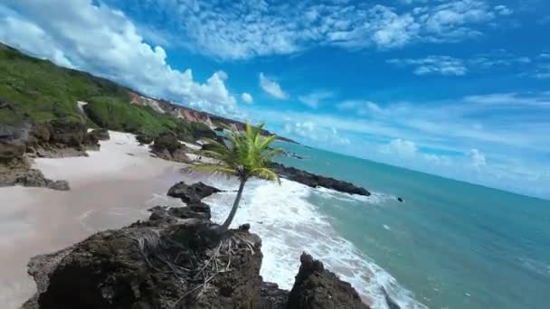 Plaża Tambaba Conde Paraiba Brazylia Krajobraz Plaży Cel Podróży Kontekst — Wideo stockowe