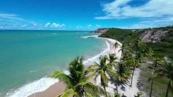 パライバ島のコンデでビーチを食べるブラジル ビーチの風景 旅行先 自然背景 屋外空中 コンデ パライバ ブラジルでビーチを食べる — ストック動画