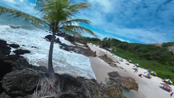 Tambaba Beach Bij Joao Pessoa Paraiba Brazilië Buitenlandschap Natuurstrand Natuurlijke — Stockvideo